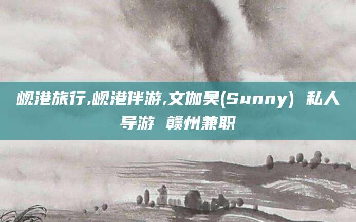 钦州岘港旅行,岘港伴游,文伽昊(Sunny) 私人导游 赣州兼职