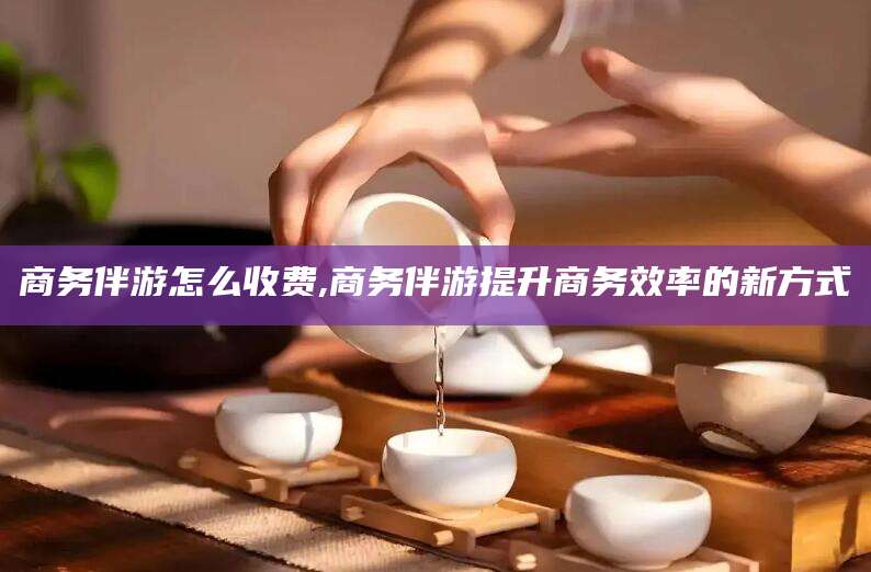 钦州商务伴游怎么收费,商务伴游提升商务效率的新方式